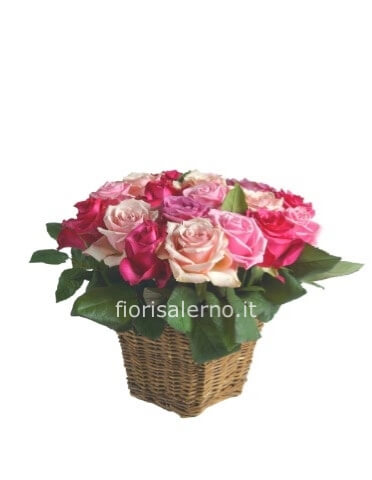 Confezione di roselline in vaso di vetro o ceramica o vimini a secondo della disponibilità