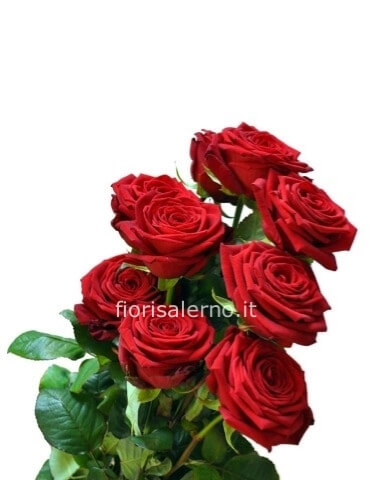 Rose rosse a stelo lungo