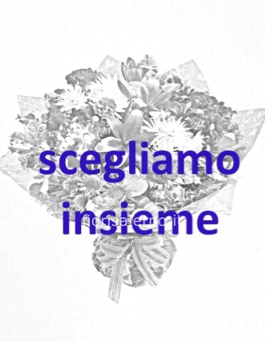 Omaggio da concordare a telefono al 3491642673