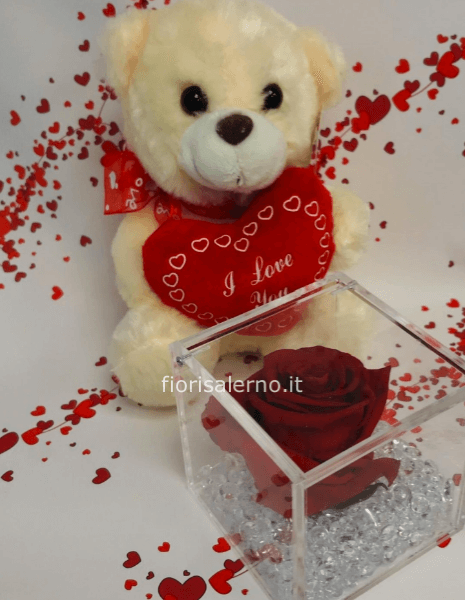 Rosa stabilizzata,un peluche